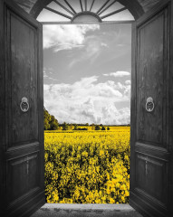 Fotografia czarno-biała - żółtym polem za otwartymi drzwiami