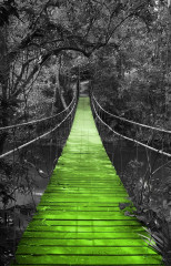 Fotografia czarno-biała z zielonym mostem w dżungli