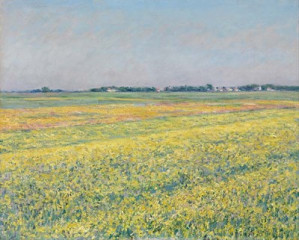 Fototapety  Gustave Caillebotte - The plain of Gennevilliers, yellow fields