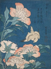 Hokusai Katsushika - Peonies and Canary (Shakuyaku, kanaari)