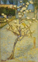 Fototapety  Vincent van Gogh - Small pear tree in blossom