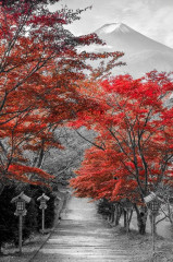 Fotografia czarno-biała z czerwonym akcentem - Góra Fuji