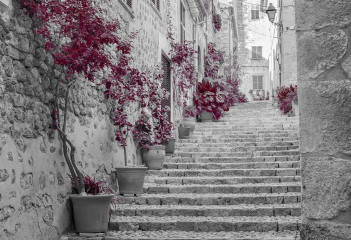 Fotografia czarno-biała z amarantowym akcentem - ulica z kamiennymi schodami 