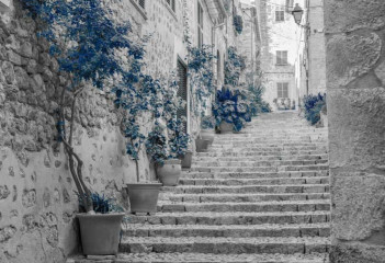 Fototapety  Fotografia czarno-biała z niebieskim akcentem - ulica z kamiennymi schodami