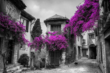 Fotografia czarno-biała z fioletowymi akcentami - Miasteczko na Prowansji
