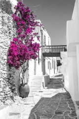 Fototapety  Fotografia czarno-biała z różowym akcentem - Grecka uliczka