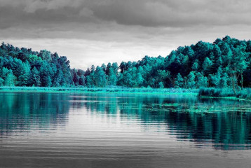 Fototapety  Fotografia czarno-biała z turkusowym akcentem - Drzewa nad jeziorem