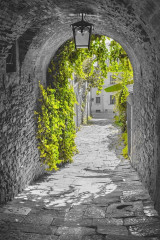 Fototapety  Fotografia czarno-biała z zielonym akcentem - Stara uliczka w Toskanii