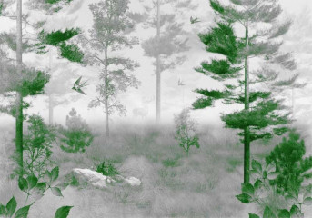 Fototapety  Fototgrafia czarno-biała z zielonym akcentem - Malowany las
