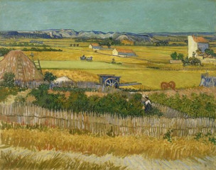 Fototapety  Vincent van Gogh - Żniwa