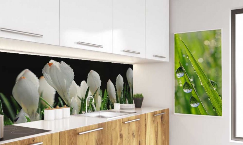 Fototapeta kwiatowa białe krokusy, kropelki wody, wiosenna dekoracja kuchni 