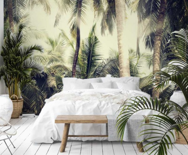 Fototapeta deszczowy palmowy las