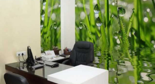 Fototapeta do gabinetu lekarskiego: świeża zielona trawa z kroplami rosy