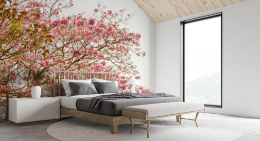 Fototapeta drzewo z różowymi kwiatami