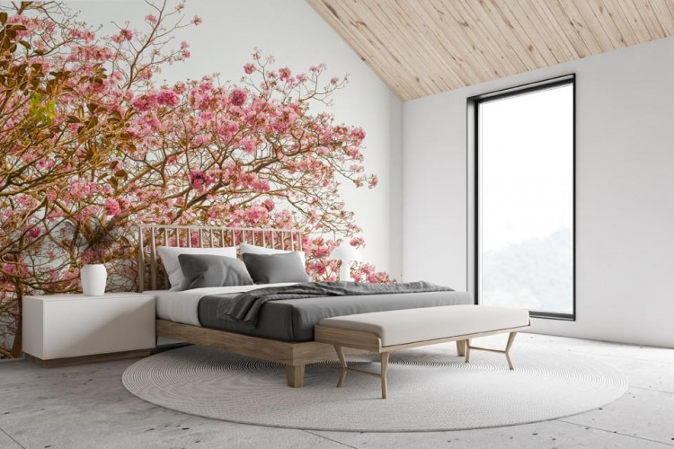 Fototapeta drzewo z różowymi kwiatami