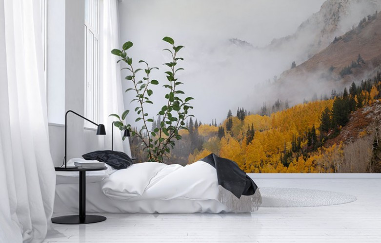 Fototapeta - pejzaż górski z jesiennym lasem we mgle