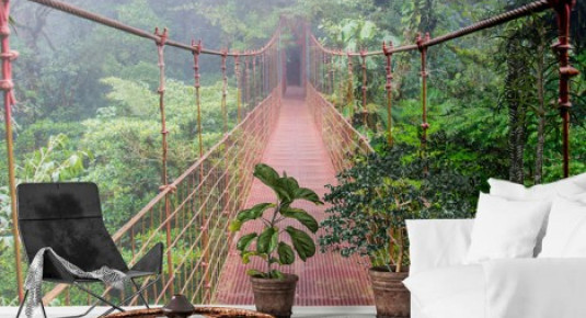 Fototapeta z mostem wiszącym w lesie deszczowym