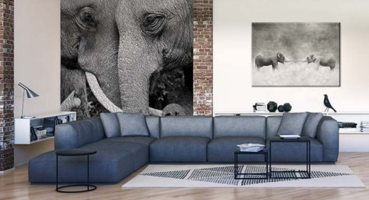 Fototapeta czarno-biała ze słoniami