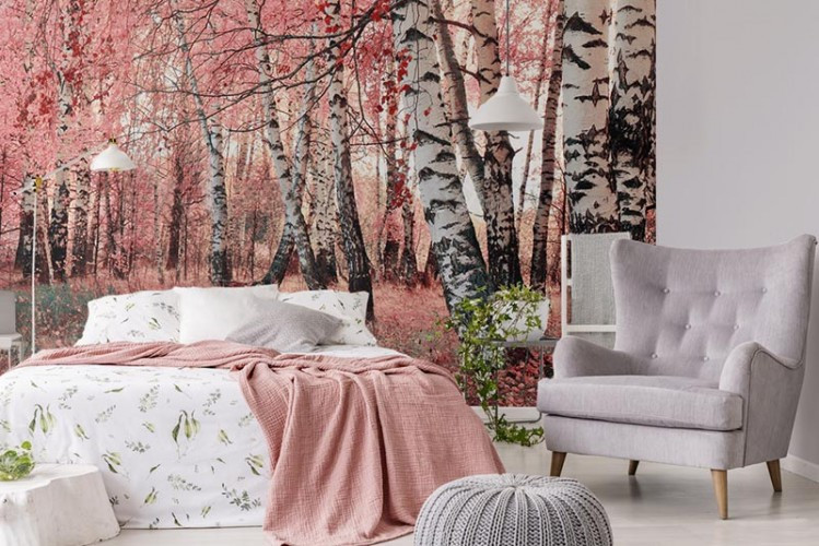 Fototapeta z różowym lasem brzozowym, do sypialni