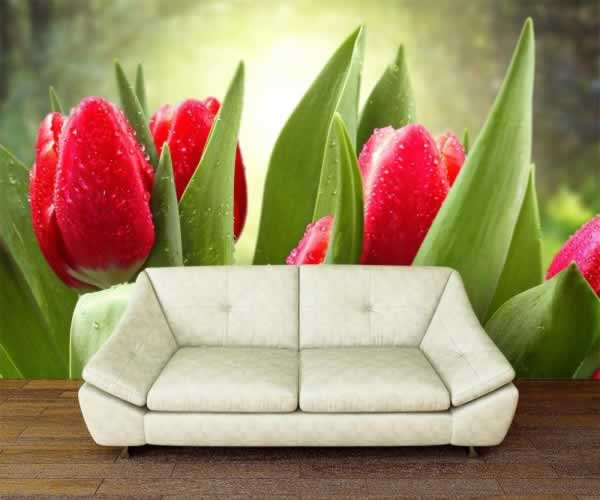 Fototapeta z motywem tulipanów
