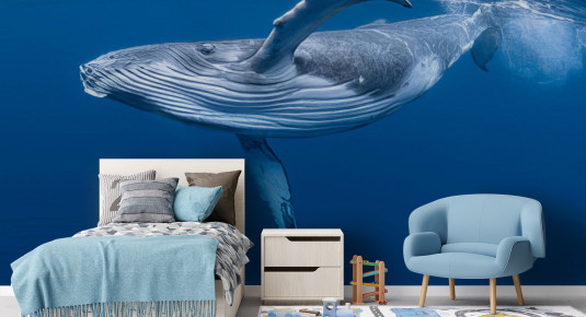 Fototapeta wieloryb w niebieskiej wodzie