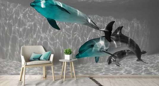 Fototapeta czarno-biała z delfinami w kolorze turkusu