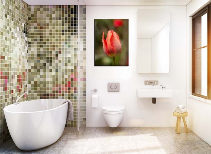 Obraz na płótnie do łazienki - czerwony tulipan z kroplami wody