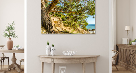 Obraz na szkle Rozłożone drzewo na plaży