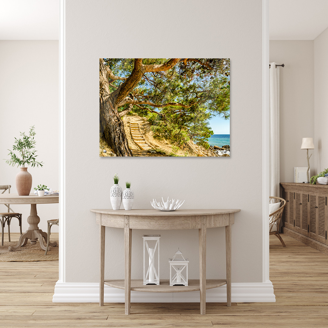 Obraz na szkle Rozłożone drzewo na plaży