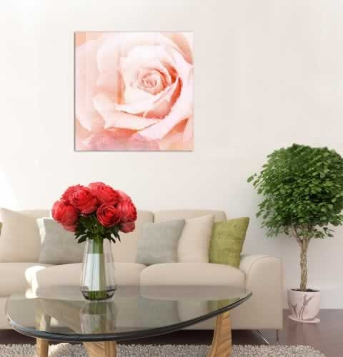 Obraz na szkle z kwiatem róży