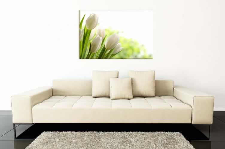 Obraz na płótnie z motywem białych tulipanów