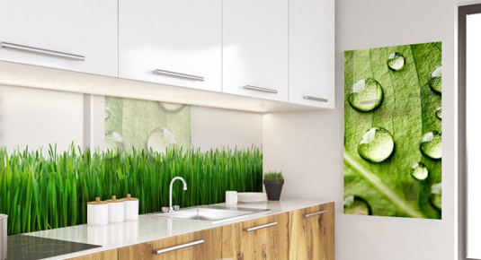Panel szklany z motywem trawy, do kuchni