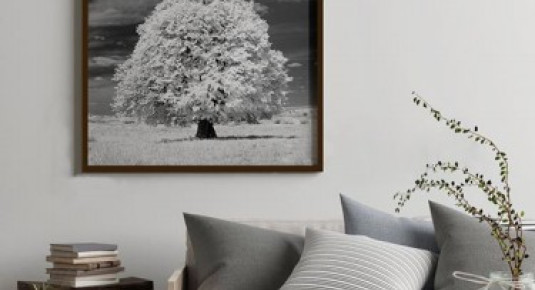 Plakat czarno-biały krajobraz z drzewem