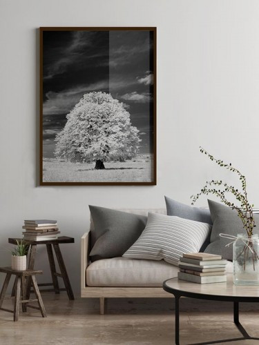 Plakat czarno-biały krajobraz z drzewem
