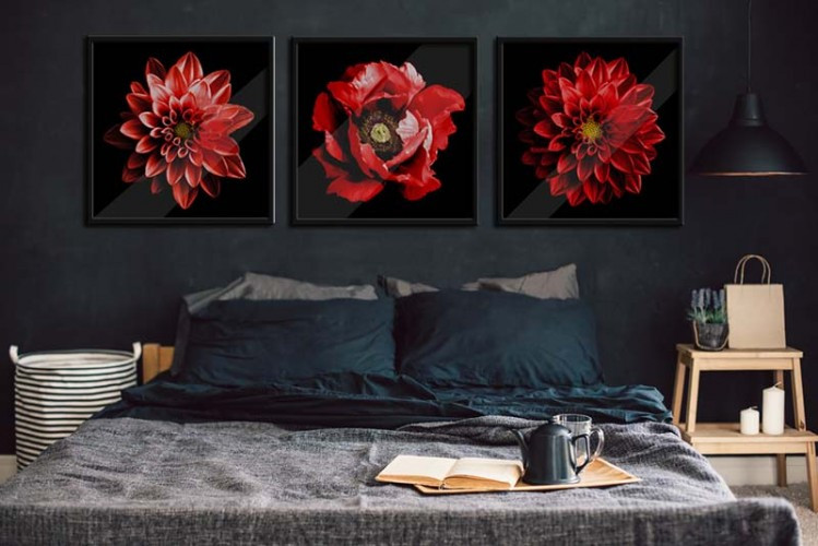 Plakat z czerwonym kwiatem do sypialni