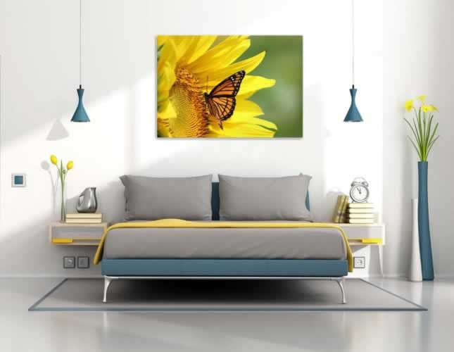 Plakat ze słonecznikiem i motylem