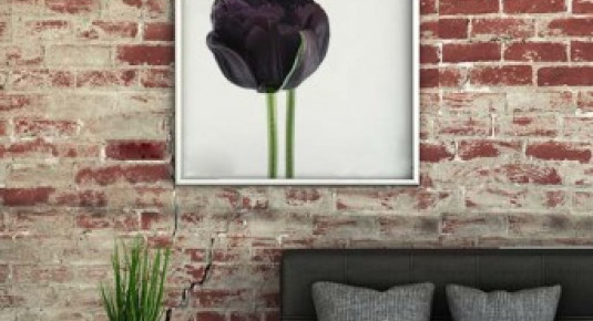 Plakat z czarnymi tulipanami