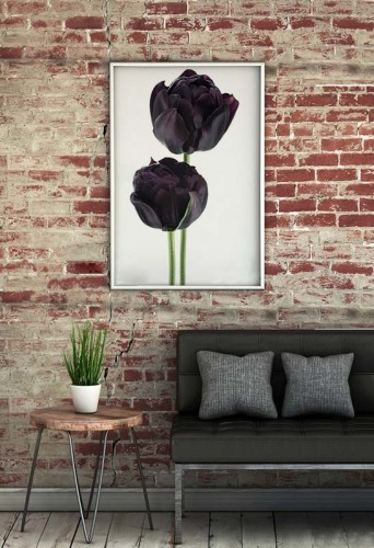 Plakat z czarnymi tulipanami