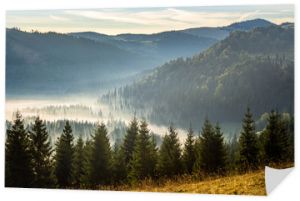 las iglasty w mglistych rumuńskich górach o wschodzie słońca