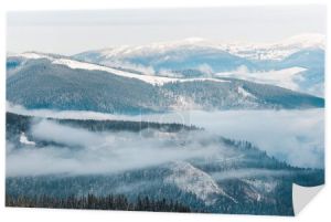 malowniczy widok na zaśnieżone góry z sosnami w białych puszystych chmurach