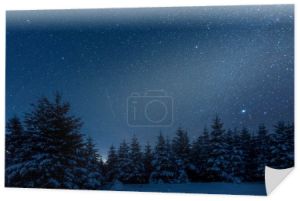 Mroczne niebo pełne gwiazd błyszczących w Karpatach w zimowym lesie w nocy