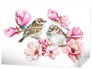 Ptaki wróbli siedzących na kwitnącej wiosennej gałęzi różowej magnolii. Różowe kwiaty na białym tle. Ilustracja Akwarela. Szablon. Karta