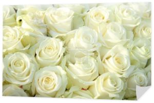 Grupa białych róż, ślubne dekoracje