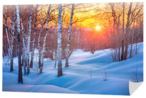 Kolorowy zachód słońca w zimowym lesie
