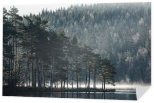 Przylądek z drzewami na jeziorze nieruchomym, Szwecja.