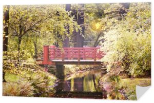 Drewniany most w jesiennym parku