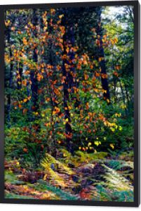 Jesienne liście w lesie Fontainebleau