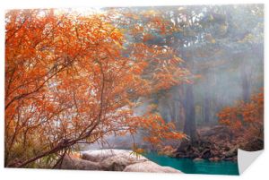 Hot Springs Onsen Natural Bath Otoczony czerwono-żółtymi liśćmi. Jesienią liście opadają. Wodospad wśród wielu liści, Jesienią liście zmieniają kolor liści.