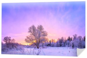 zimowy krajobraz panorama z zachodem słońca i lasem