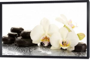 Spa kamienie i kwiaty orchidei, na białym tle.